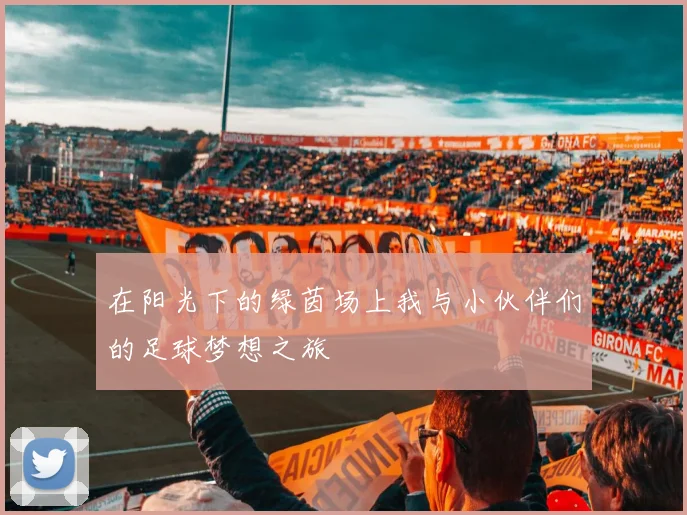 在阳光下的绿茵场上我与小伙伴们的足球梦想之旅