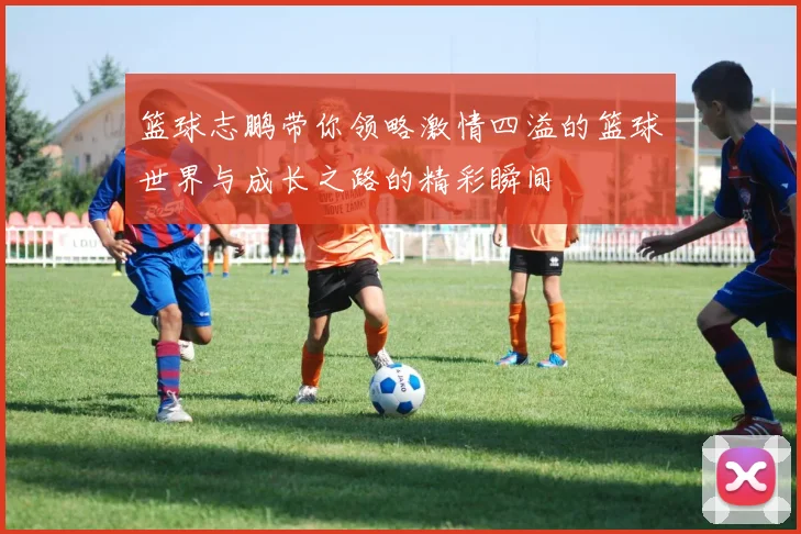 篮球志鹏带你领略激情四溢的篮球世界与成长之路的精彩瞬间