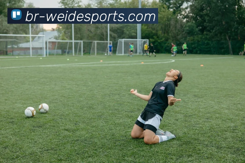 韦德体育平台生态图