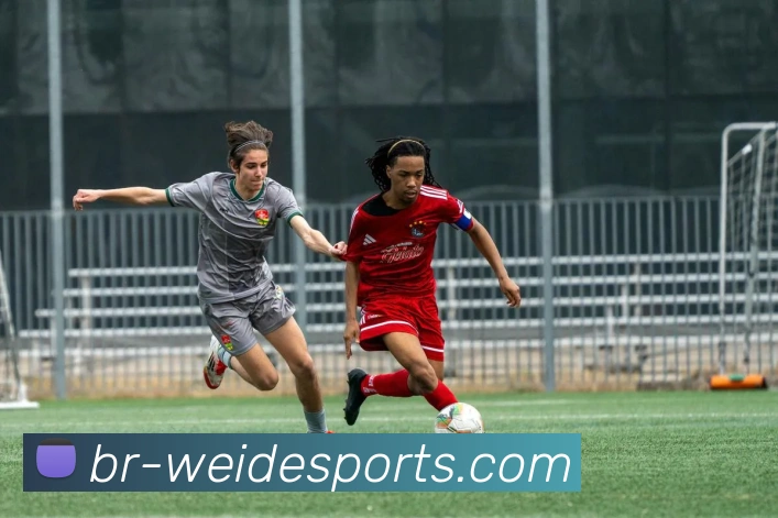 韦德体育全站App